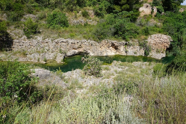 Un fiume in montagna con alberi e cespugli