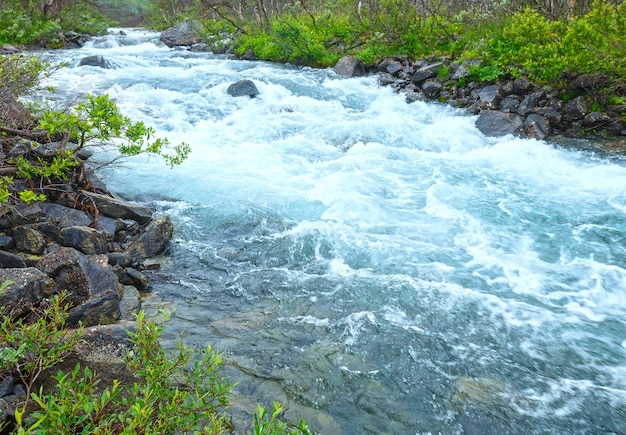 Un fiume in Norvegia. Paesaggio estivo.