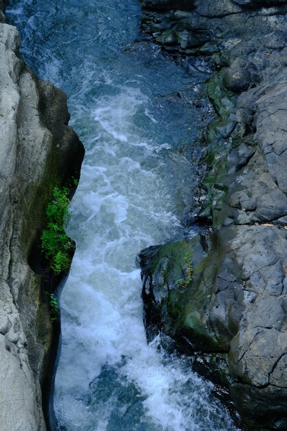 Un fiume scorre attraverso una scogliera rocciosa con una pianta verde che cresce su di essa roccia vulcanica ghiacciata