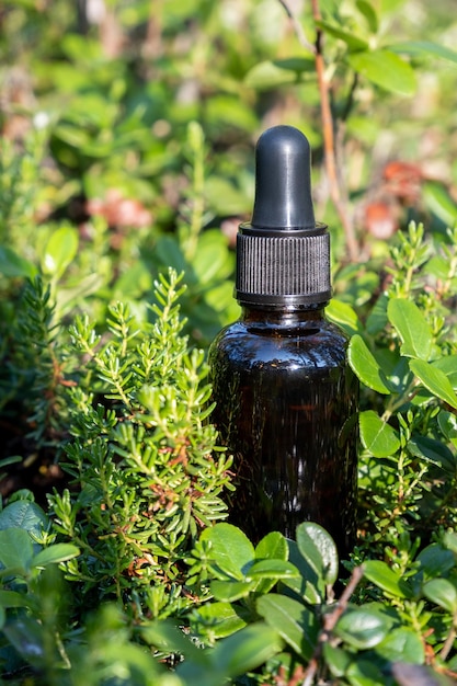 Un flacone contagocce in vetro marrone con siero, olio essenziale o altro prodotto cosmetico nella foresta all'aperto. Concetto di bellezza cosmetica naturale della stazione termale organica.