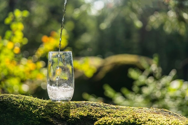 Un flusso di acqua minerale pura versato in un bicchiere di cristallo trasparente lo sfondo è un verde per...