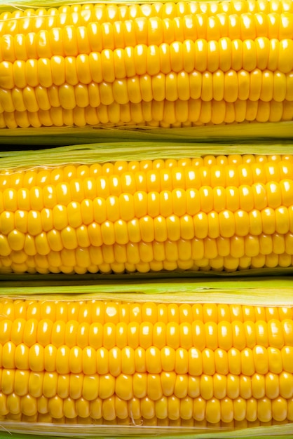 Un fondo dorato di tre spighe di frumento