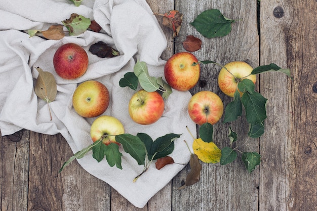 Un fresco raccolto di mele rosse e verdi su uno sfondo di legno strutturato con un tessuto leggero. Raccolta e giardinaggio, vista dall'alto di alimenti biologici