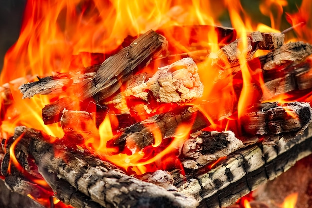 Un fuoco con carboni e fuoco sulla natura sfondo picnic. Brucia un falò per il cibo per strada