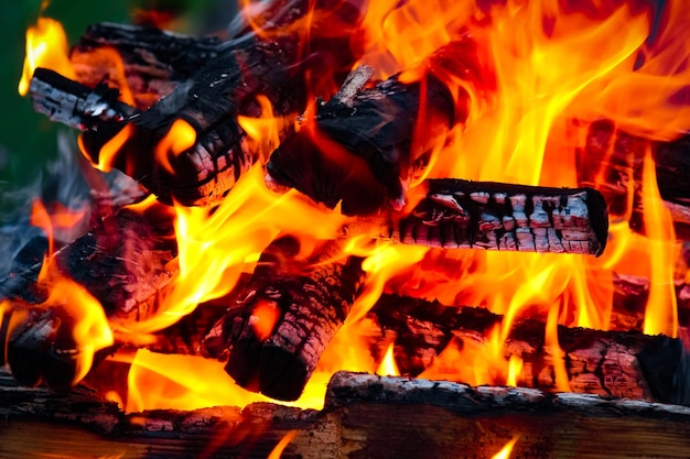 Un fuoco con carboni e fuoco sullo sfondo del picnic della natura Brucia un falò per il cibo sulla strada