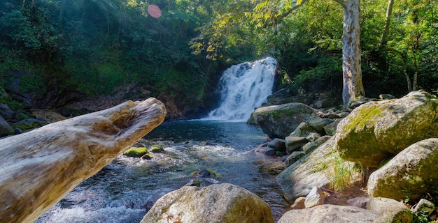 Un fuoco selettivo di pietre muschiose illuminate dal sole con una vista di una cascata che scorre dietro a Xico, Verecruz, Messico