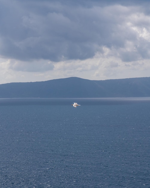 Un gabbiano bianco sorvola il mare blu Maestose montagne all'orizzonte Grigio cielo tempestoso Volo di libertà Lunga strada Indipendenza