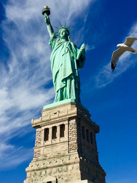 Un gabbiano che vola vicino alla Statua della Libertà contro il cielo blu.