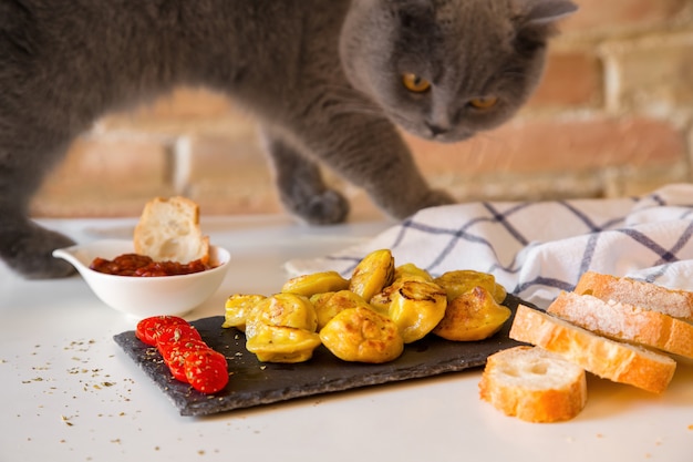 Un gatto affamato annusa e vuole mangiare gnocchi preparati per la sessione fotografica.