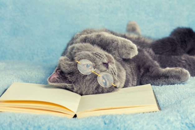 Un gatto britannico blu con gli occhiali sdraiato e dorme sulla schiena sul libro