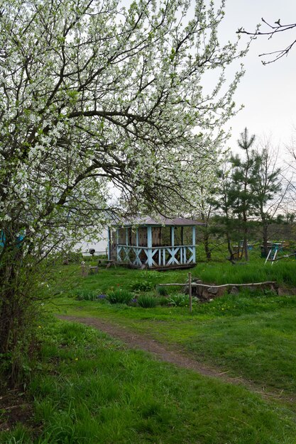 Un gazebo sotto un susino bianco in fiore Un luogo di relax immerso nel verde