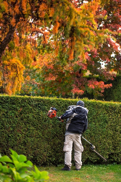 Un giardiniere con cesoie automatiche taglia una siepe