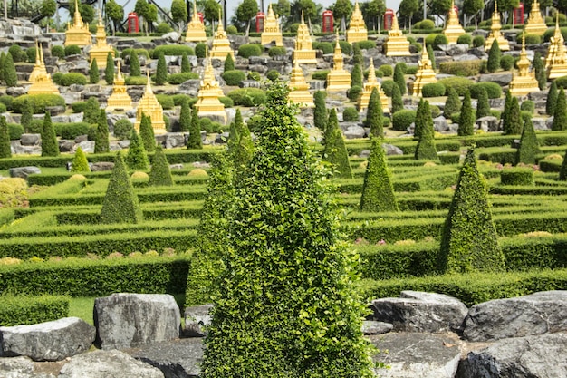 Un giardino con molti alberi e una scatola gialla