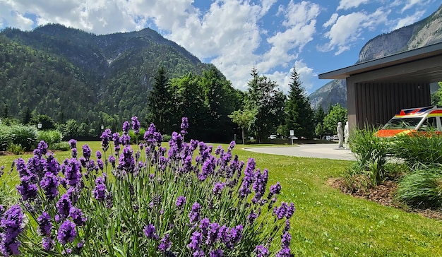 Un giardino fuori dall'hotel