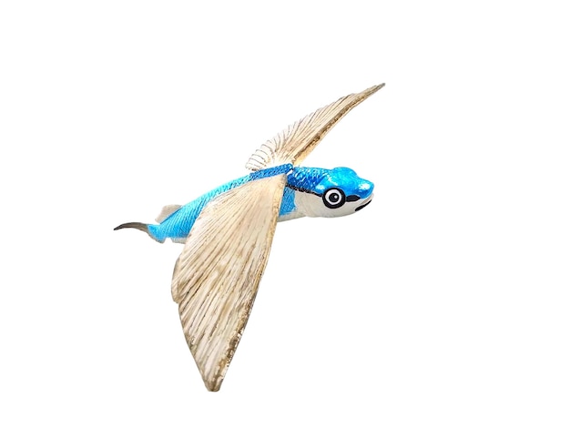 Un giocattolo di pesce volante blu e bianco con un occhio bianco e un occhio nero isolato sul bianco