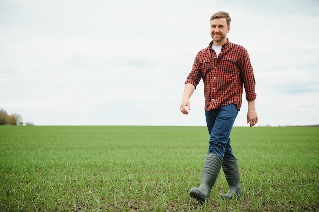 Un giovane agricoltore ispeziona la qualità dei germogli di grano nel campo Il concetto di agricoltura