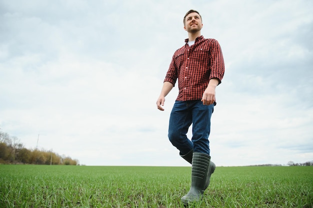 Un giovane agricoltore ispeziona la qualità dei germogli di grano nel campo Il concetto di agricoltura