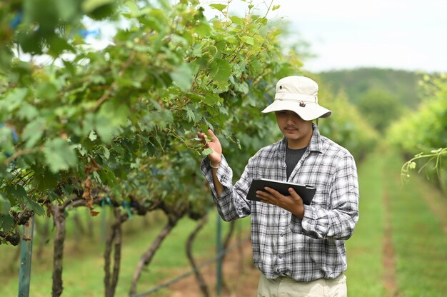 Un giovane agricoltore sta usando un tablet mentre si trova nel frutteto.