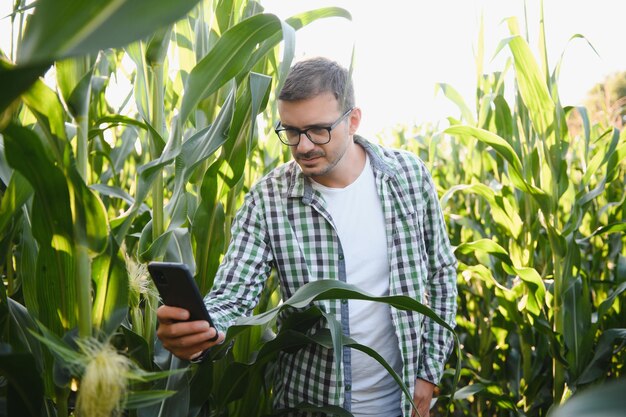 Un giovane agronomo esamina il mais su un terreno agricolo. Contadino in un campo di grano in una giornata di sole