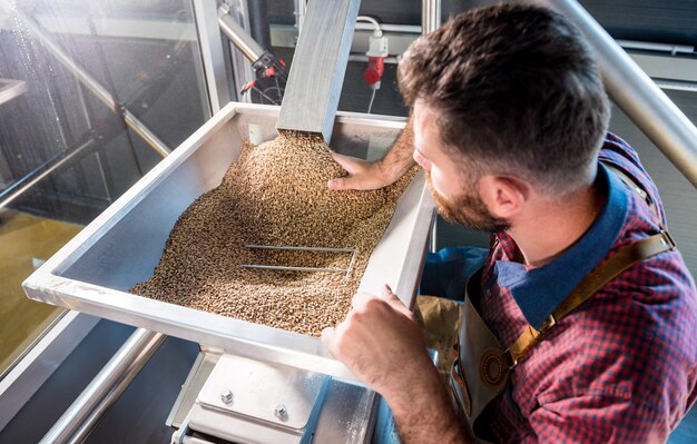 Un giovane birraio in un grembiule in pelle controlla la macinazione dei semi di malto in un mulino in una moderna fabbrica di birra