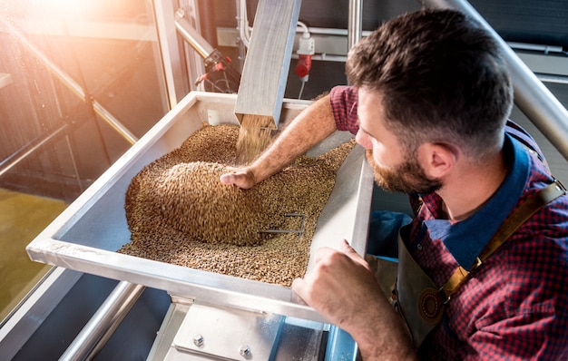 Un giovane birraio in un grembiule in pelle controlla la macinazione dei semi di malto in un mulino in una moderna fabbrica di birra