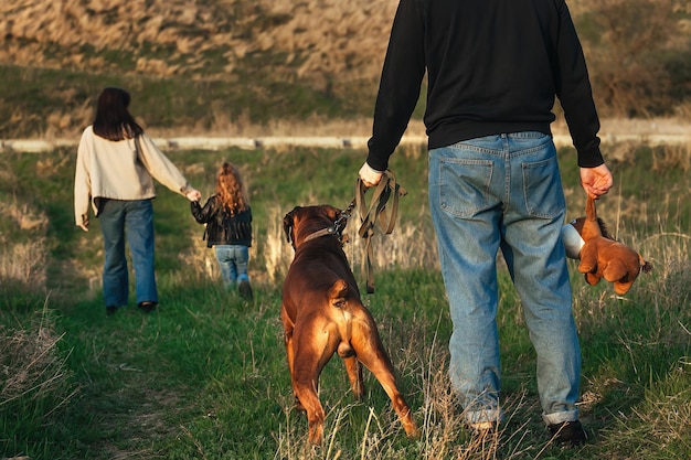 un giovane con un grosso cane e un giocattolo è in piedi sulla strada che sua moglie e suo figlio lo stanno lasciando