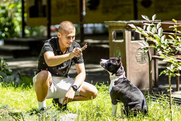 Un giovane gioca con il suo animale domestico American Staffordshire Terrier nel cortile sull'erba Amicizia