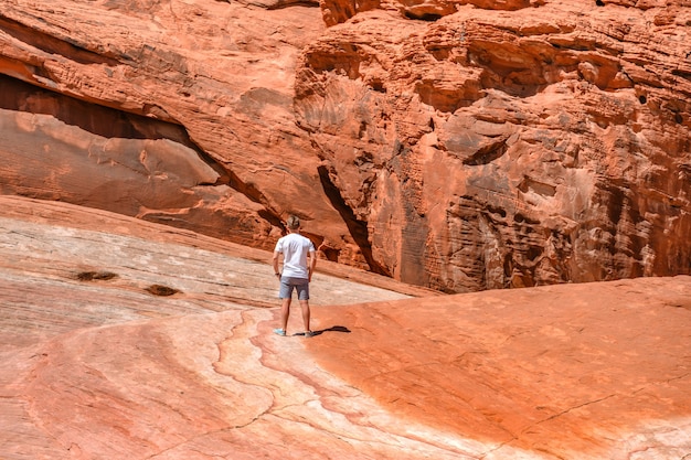 Un giovane nella Valley of Fire Nevada Incredibili forme di pietre rosse