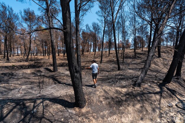 Un giovane uomo che cammina attraverso una foresta bruciato in un incendio boschivo cambiamento climatico siccità estate