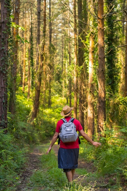 Un giovane viaggiatore con la schiena girata con un cappello e guardando i pini della foresta