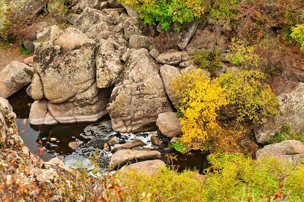 Un gran numero di minerali di pietra ricoperti di vegetazione verde che giace sopra un piccolo fiume nella pittoresca Ucraina e nella sua bellissima natura