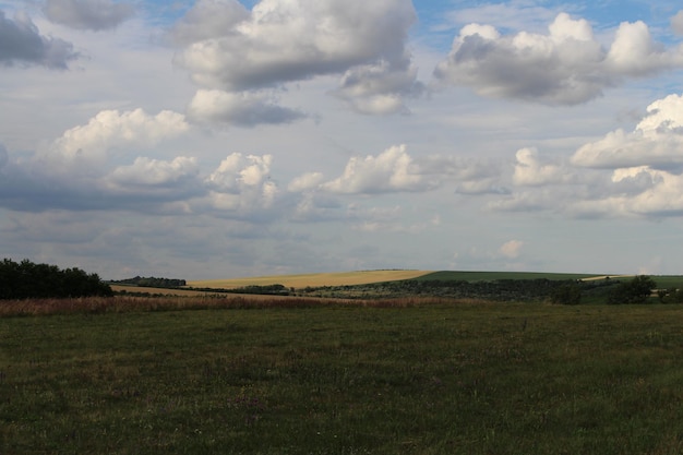 Un grande campo erboso con nuvole nel cielo