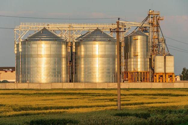 Un grande impianto moderno per lo stoccaggio e la lavorazione dei raccolti di grano vista del granaio in una giornata di sole contro il cielo blu Fine della stagione del raccolto