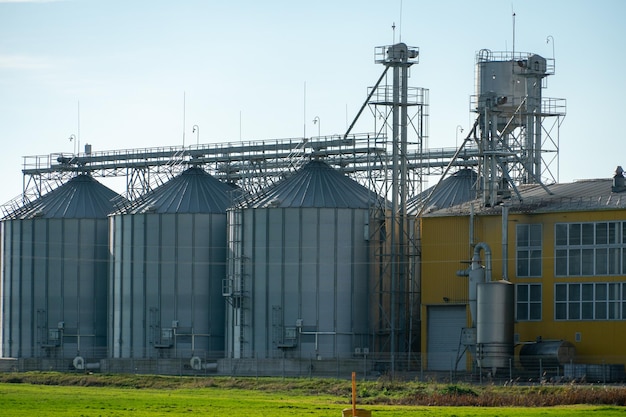 Un grande impianto moderno per lo stoccaggio e la lavorazione delle colture di grano vista del granaio in una giornata di sole Grandi botti di ferro di silos d'argento per cereali su impianto di produzione agricolo per la lavorazione e l'essiccazione