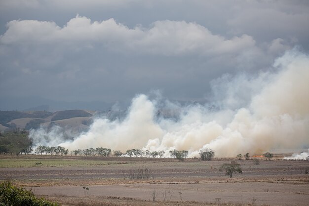 Un grande incendio distrugge la vegetazione nell'area di una fattoria