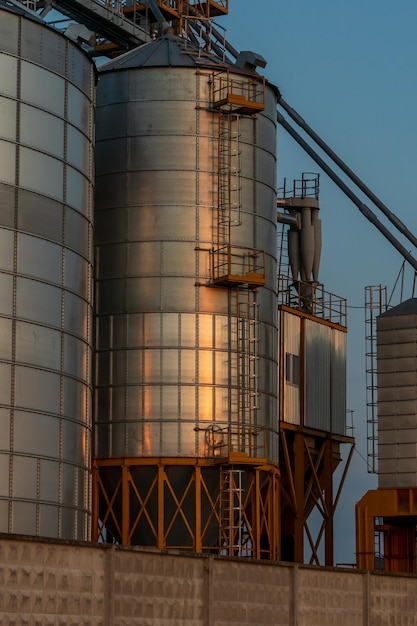 Un grande stabilimento moderno situato nei pressi di un campo di grano per lo stoccaggio e la lavorazione dei raccolti di grano vista del granaio illuminato dalla luce del sole al tramonto contro il cielo blu stagione del raccolto