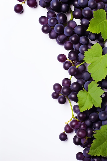 un grappolo d'uva con una foglia verde che dice "uva".
