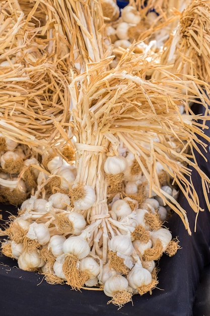 Un grappolo di bulbi d'aglio al bazar