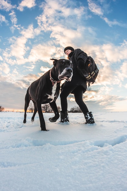 Un grosso cane con un'amante su un campo innevato. Alano nella neve, animaletto