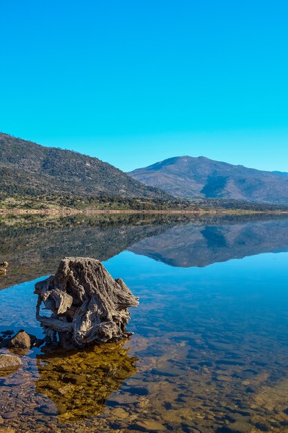 Un grosso tronco di un vecchio albero sulla riva di un lago con acqua calma e riflesso delle montagne sullo sfondo