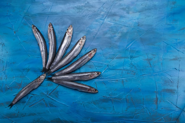 Un gruppo di acciughe galleggia su uno sfondo blu. Pesce pescato