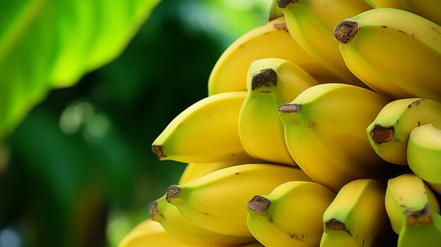 Un gruppo di banane sullo sfondo di un albero di banane AI generativa