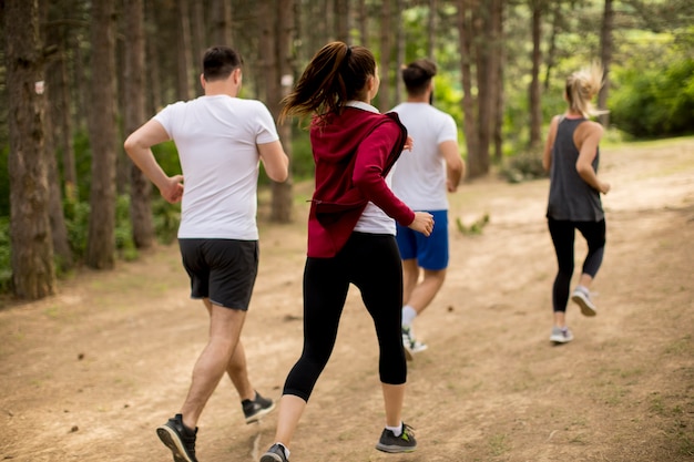 Un gruppo di giovani corre una maratona attraverso la foresta