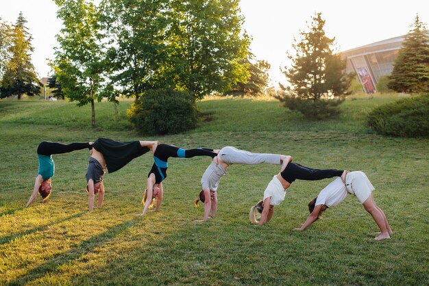 Un gruppo di persone che fanno yoga nel parco