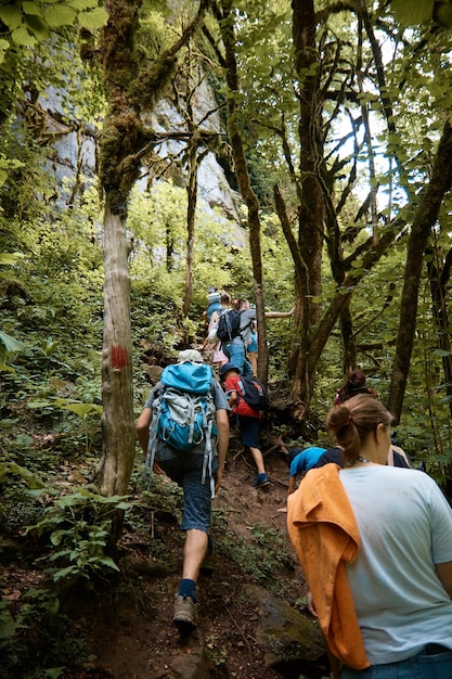 Un gruppo di turisti si arrampica su un sentiero forestale fitto bosco escursioni in montagna verde foresta vista posteriore dietro