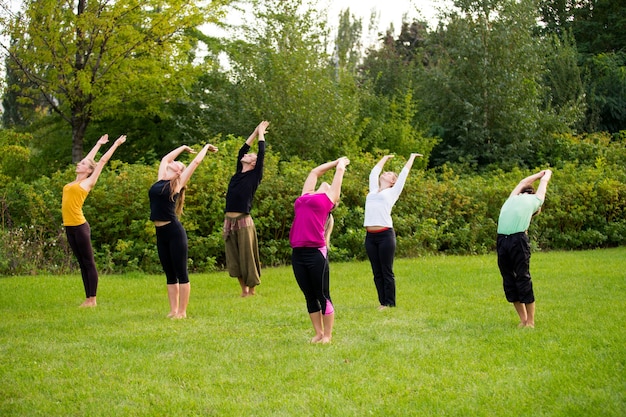 Un gruppo di yogi sul tratto di prato