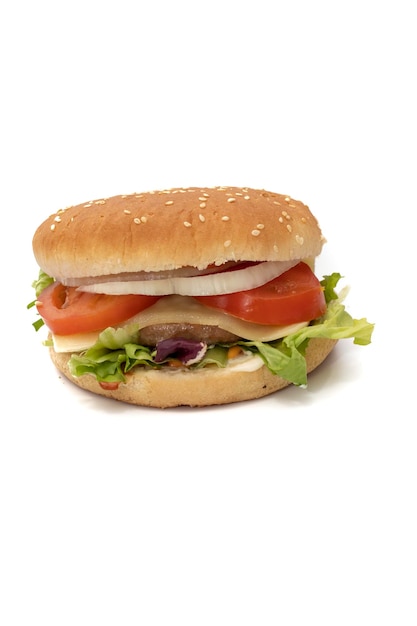 Un hamburger con gli ingredienti lattuga cavolo cetriolo pomodoro cipolla formaggio ketchup