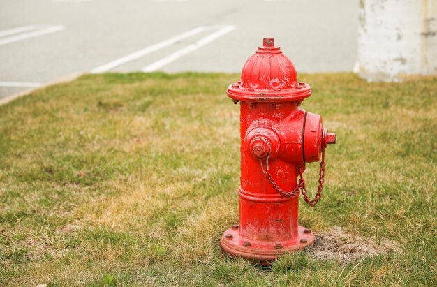 Un idrante antincendio rosso è nell'erba vicino a una strada.