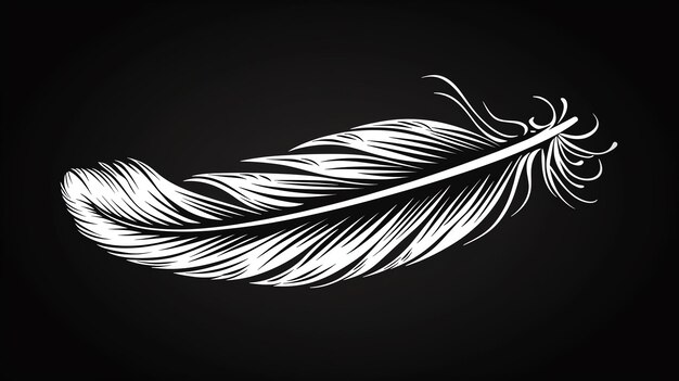 Un'illustrazione vettoriale in bianco e nero di una piuma La piuma è dettagliata e ha un aspetto morbido e soffice