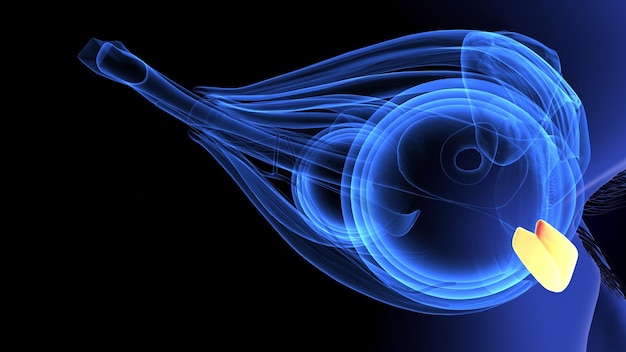 un'immagine blu e nera di un occhio con linee blu e bianche